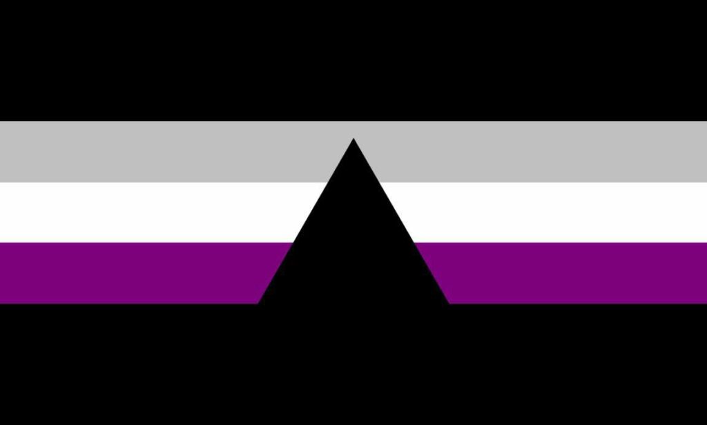 drapeau Dysphorasexuel