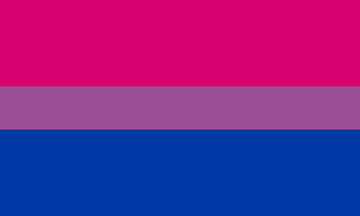 drapeau bisexuel guide complet des drapeaux LGBT