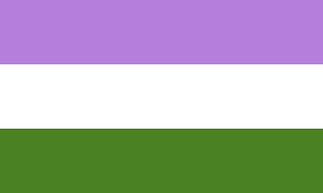drapeau genderqueer