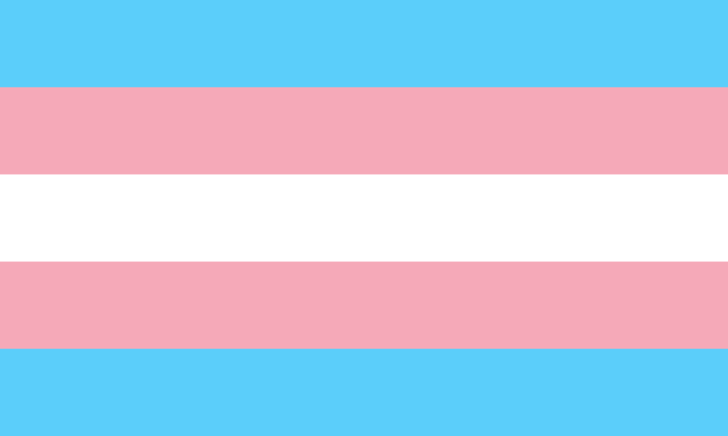 drapeau transgenre - guide des drapeaux LGBT